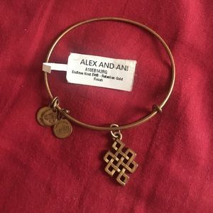 Alex and ani endless knot
